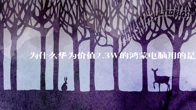 为什么华为价值2.3W的鸿蒙电脑用的是美国西数的SN740固态硬盘？