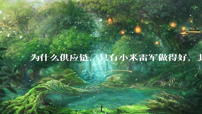 为什么供应链，只有小米雷军做得好，其他人做不好?
