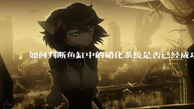 如何判断鱼缸中的硝化系统是否已经成功建立？