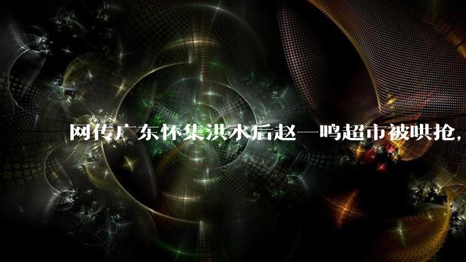 网传广东怀集洪水后赵一鸣超市被哄抢，县***回应相关单位正在核实，若属实哄抢者该承担哪些法律责任？