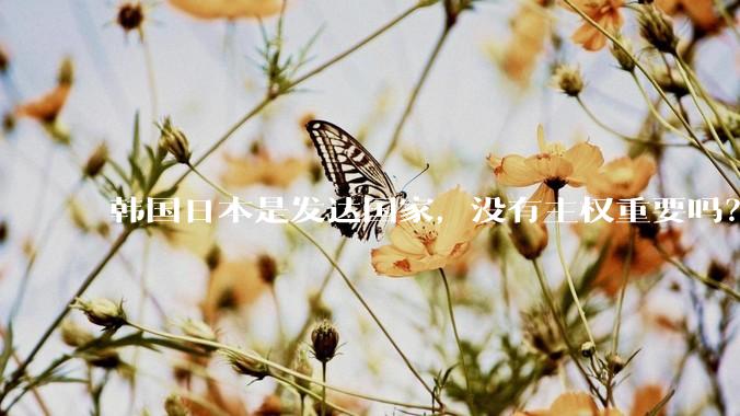 韩国日本是发达国家，没有主权重要吗？
